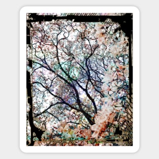 Japanese Sakura Tree Cherry Blossom Collage Art 64 Sticker